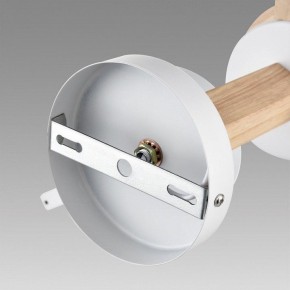 Люстра на штанге Lumion Colange 8095/6C в Березниках - berezniki.ok-mebel.com | фото 6
