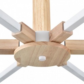Люстра на штанге Lumion Colange 8095/6C в Березниках - berezniki.ok-mebel.com | фото 7