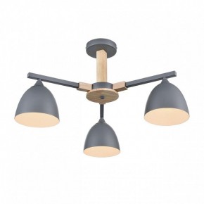 Люстра на штанге Lumion Colange 8096/3C в Березниках - berezniki.ok-mebel.com | фото 3