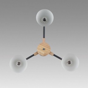 Люстра на штанге Lumion Colange 8096/3C в Березниках - berezniki.ok-mebel.com | фото 4