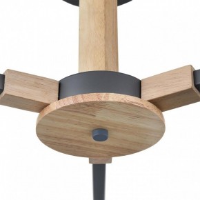 Люстра на штанге Lumion Colange 8096/3C в Березниках - berezniki.ok-mebel.com | фото 7