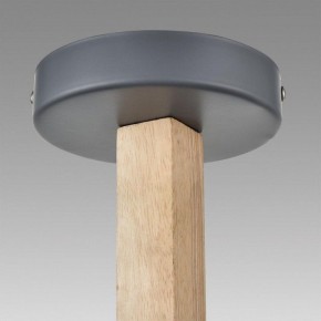 Люстра на штанге Lumion Colange 8096/3C в Березниках - berezniki.ok-mebel.com | фото 9