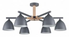 Люстра на штанге Lumion Colange 8096/6C в Березниках - berezniki.ok-mebel.com | фото
