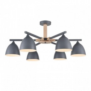 Люстра на штанге Lumion Colange 8096/6C в Березниках - berezniki.ok-mebel.com | фото 2