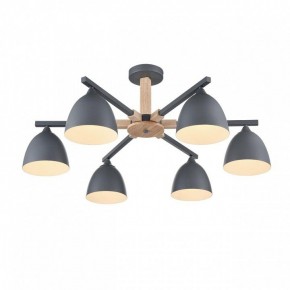 Люстра на штанге Lumion Colange 8096/6C в Березниках - berezniki.ok-mebel.com | фото 3