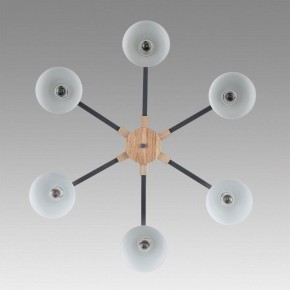 Люстра на штанге Lumion Colange 8096/6C в Березниках - berezniki.ok-mebel.com | фото 4
