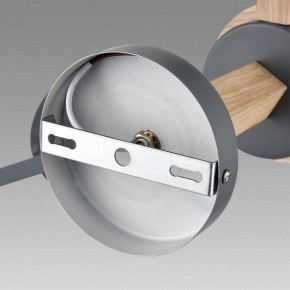 Люстра на штанге Lumion Colange 8096/6C в Березниках - berezniki.ok-mebel.com | фото 6