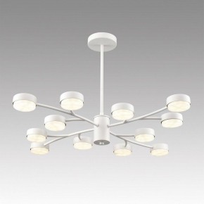 Люстра на штанге Lumion TORINA 8265/12 в Березниках - berezniki.ok-mebel.com | фото 3