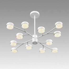 Люстра на штанге Lumion TORINA 8265/12 в Березниках - berezniki.ok-mebel.com | фото 5