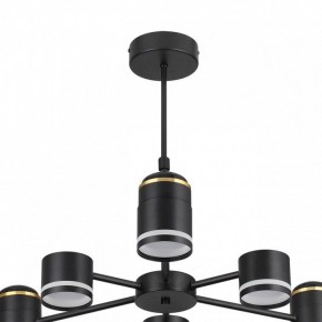 Люстра на штанге Lumion Virsava 8234/6C в Березниках - berezniki.ok-mebel.com | фото 5