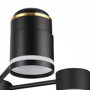 Люстра на штанге Lumion Virsava 8234/6C в Березниках - berezniki.ok-mebel.com | фото 8