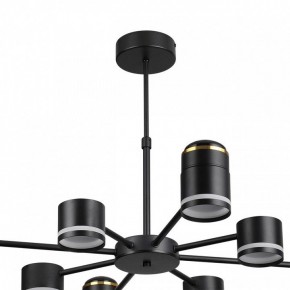Люстра на штанге Lumion Virsava 8234/8C в Березниках - berezniki.ok-mebel.com | фото 5