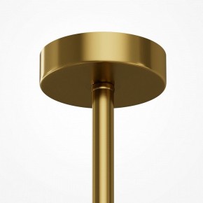 Люстра на штанге Maytoni Museo MOD436PL-05BS в Березниках - berezniki.ok-mebel.com | фото 6