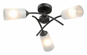 Люстра на штанге Vitaluce V2850 V2850-1/3PL в Березниках - berezniki.ok-mebel.com | фото 2