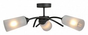 Люстра на штанге Vitaluce V2850 V2850-1/3PL в Березниках - berezniki.ok-mebel.com | фото 3