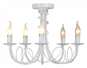 Люстра на штанге Vitaluce V3035 V3035-0/5PL в Березниках - berezniki.ok-mebel.com | фото 2