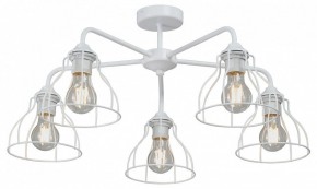 Люстра на штанге Vitaluce V3102 V3102-0/5PL в Березниках - berezniki.ok-mebel.com | фото