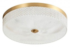 Накладной светильник Arti Lampadari Viro Viro L 1.13.35x9 G в Березниках - berezniki.ok-mebel.com | фото