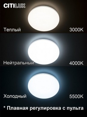 Накладной светильник Citilux Симпла CL714330G в Березниках - berezniki.ok-mebel.com | фото 4