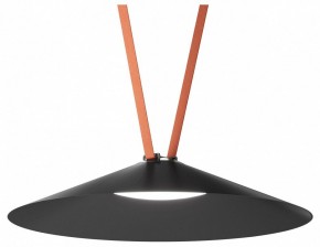 Накладной светильник Denkirs Belty Flow DK5568-BK в Березниках - berezniki.ok-mebel.com | фото 2