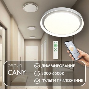 Накладной светильник Denkirs Cany DK6516-WH в Березниках - berezniki.ok-mebel.com | фото 4