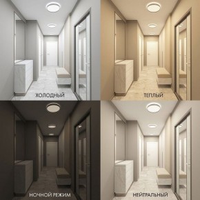 Накладной светильник Denkirs PLATO DK6510-WH в Березниках - berezniki.ok-mebel.com | фото 2