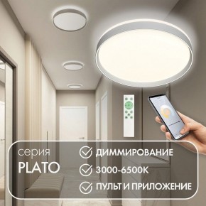 Накладной светильник Denkirs PLATO DK6511-WH/1 в Березниках - berezniki.ok-mebel.com | фото 4