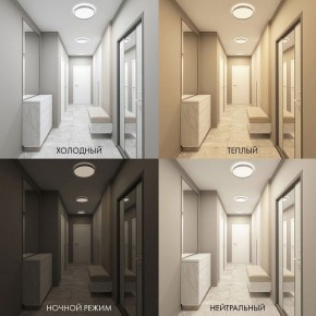 Накладной светильник Denkirs PLATO DK6511-WH/1 в Березниках - berezniki.ok-mebel.com | фото 5