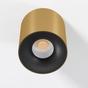 Накладной светильник Elektrostandard Primo 25116/LED в Березниках - berezniki.ok-mebel.com | фото