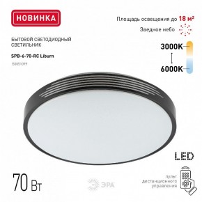 Накладной светильник Эра Классик SPB-6-70-RC Liburn в Березниках - berezniki.ok-mebel.com | фото 10
