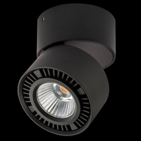 Накладной светильник Lightstar Forte Muro 214817 в Березниках - berezniki.ok-mebel.com | фото 2