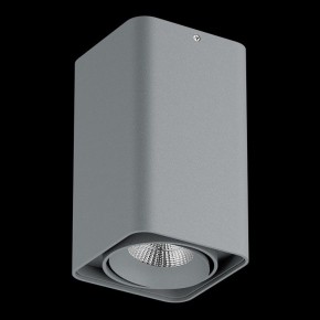 Накладной светильник Lightstar Monocco 052139-IP65 в Березниках - berezniki.ok-mebel.com | фото 2