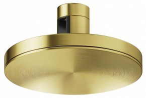 Накладной светильник Maytoni Plato TR152-1-7W4K-BS в Березниках - berezniki.ok-mebel.com | фото