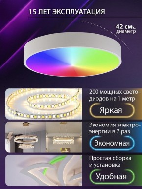 Накладной светильник Natali Kovaltseva MODERN LED LAMPS 81105/1C в Березниках - berezniki.ok-mebel.com | фото 6