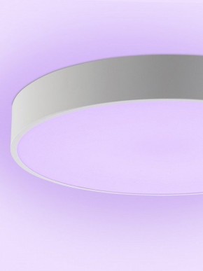 Накладной светильник Natali Kovaltseva MODERN LED LAMPS 81105/1C в Березниках - berezniki.ok-mebel.com | фото 9