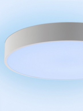 Накладной светильник Natali Kovaltseva MODERN LED LAMPS 81105/2C в Березниках - berezniki.ok-mebel.com | фото 12
