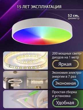 Накладной светильник Natali Kovaltseva MODERN LED LAMPS 81105/2C в Березниках - berezniki.ok-mebel.com | фото 6
