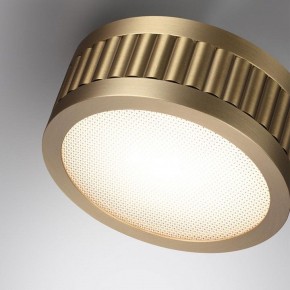 Накладной светильник Odeon Light Manchester 7013/7CL в Березниках - berezniki.ok-mebel.com | фото 5