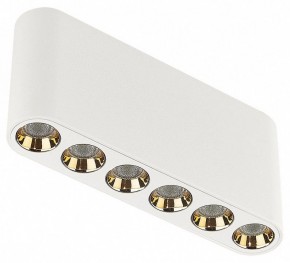 Накладной светильник Odeon Light Small 7091/15CL в Березниках - berezniki.ok-mebel.com | фото