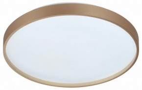 Накладной светильник Sonex Gaby 7783/DL в Березниках - berezniki.ok-mebel.com | фото 6