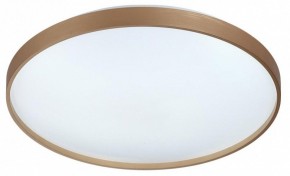 Накладной светильник Sonex Gaby 7783/EL в Березниках - berezniki.ok-mebel.com | фото 4