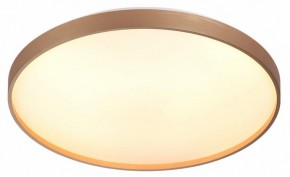 Накладной светильник Sonex Gaby 7783/EL в Березниках - berezniki.ok-mebel.com | фото 5