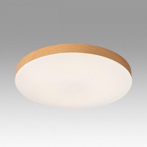 Накладной светильник Sonex Gamma 7761/50L в Березниках - berezniki.ok-mebel.com | фото 3