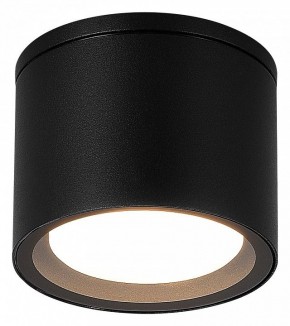 Накладной светильник ST-Luce Tubo SL9006.402.01 в Березниках - berezniki.ok-mebel.com | фото 2