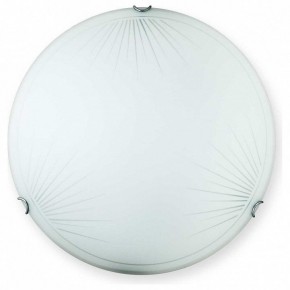 Накладной светильник TopLight Wifa TL9142Y-00WH в Березниках - berezniki.ok-mebel.com | фото