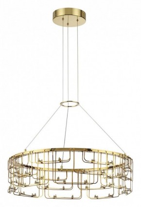 Подвесная люстра Odeon Light ZAHA 7060/44L в Березниках - berezniki.ok-mebel.com | фото 2