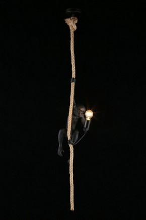 Подвесной светильник Aployt Magali APL.309.16.01 в Березниках - berezniki.ok-mebel.com | фото 3