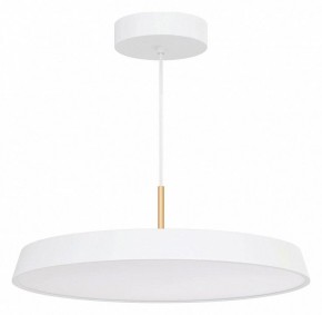 Подвесной светильник Arlight ELEGANT 033925(1) в Березниках - berezniki.ok-mebel.com | фото 2