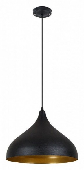 Подвесной светильник Arte Lamp Carmel A7076SP-1BK в Березниках - berezniki.ok-mebel.com | фото 2
