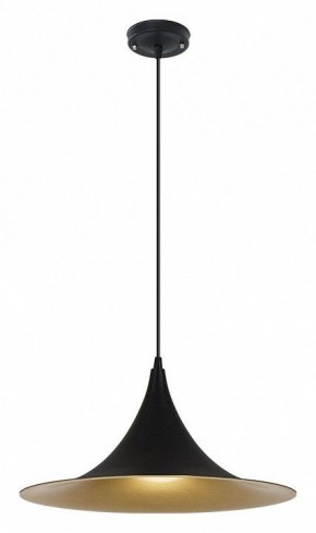 Подвесной светильник Arte Lamp Carmel A7080SP-1BK в Березниках - berezniki.ok-mebel.com | фото 2